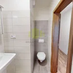 Rent 1 bedroom apartment of 28 m² in Olomouc