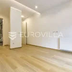 Rent 3 bedroom apartment of 150 m² in Zagreb