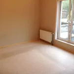 Rent 1 bedroom apartment in Kortrijk