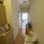 Rent 1 bedroom apartment of 40 m² in Brno