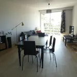 Rent 1 bedroom apartment of 97 m² in Mechelen