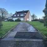 Rent 4 bedroom house in Exeter