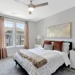 Rent 1 bedroom apartment in Beaufort