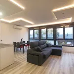 Rent 1 bedroom apartment in madrid