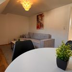Spacious & modern flat in Aschaffenburg, Aschaffenburg - Amsterdam Apartments for Rent