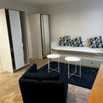 Rent 1 bedroom apartment of 28 m² in saint-étienne