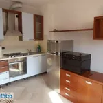 Rent 2 bedroom apartment of 55 m² in Como