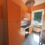 Rent 1 bedroom apartment of 40 m² in Pavia