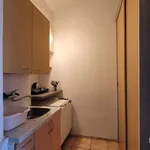 Rent 1 bedroom apartment of 30 m² in Praha