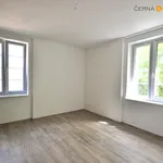 Rent 1 bedroom apartment of 40 m² in Ústí nad Labem