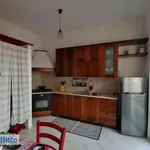 Rent 3 bedroom apartment of 65 m² in Livorno