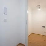 Rent 2 bedroom apartment of 50 m² in Vienna