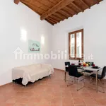 Rent 1 bedroom apartment of 48 m² in Florence