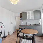 Rent 1 bedroom apartment of 42 m² in Zagreb