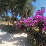 Rent 5 bedroom house of 140 m² in Ragusa