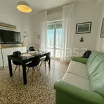 Rent 3 bedroom apartment of 60 m² in Pisa