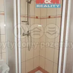 Rent 1 bedroom apartment in Františkovy Lázně