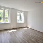 Rent 1 bedroom apartment of 40 m² in Ústí nad Labem