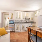 Rent 3 bedroom apartment of 65 m² in Pisa