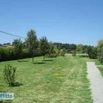 Rent 3 bedroom apartment of 74 m² in Perugia