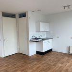 Studio van 40 m² in Oranjewijk