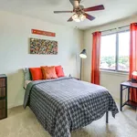 Rent 1 bedroom apartment in Austin