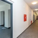 Pronajměte si 1 ložnic/e byt o rozloze 32 m² v chodov