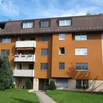 4.0 room apartment to let in sandbühlstrasse 11a 8620 wetzikon zh