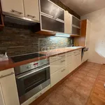 Rent 3 bedroom apartment of 80 m² in Prague