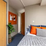 Rent 1 bedroom flat in Sheffield