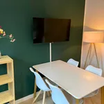 Miete 1 Schlafzimmer wohnung von 45 m² in Flensburg