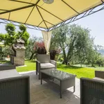 Rent 12 bedroom apartment of 450 m² in Cortona