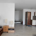 Rent 1 bedroom apartment in Hradec Králové