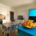 Rent 2 bedroom apartment of 45 m² in Petriolo