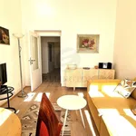 Rent 2 bedroom apartment of 39 m² in Praha