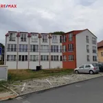 Rent 1 bedroom apartment of 24 m² in skvorec