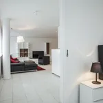 Zugerstrasse, Cham - Amsterdam Apartments for Rent