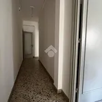 Rent 4 bedroom apartment of 120 m² in Palermo