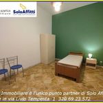 Affitto 4 camera appartamento di 80 m² in Lecce