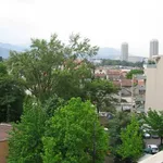 Appartement de 34 m² avec 1 chambre(s) en location à Grenoble