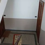 Rent 3 bedroom apartment of 80 m² in Turin