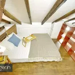 Rent 1 bedroom apartment in Madrid