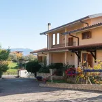 Rent 18 bedroom house of 452 m² in Mendicino