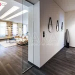 Rent 3 bedroom apartment of 186 m² in Praha