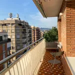 Rent 6 bedroom apartment in Castelló de la Plana