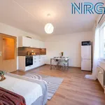 Rent 1 bedroom apartment in Capital City of Prague