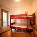 Rent 3 bedroom apartment of 65 m² in Pisa