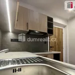 Rent 2 bedroom apartment of 40 m² in Ústí nad Labem