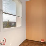 Rent 3 bedroom apartment of 74 m² in Pilsen