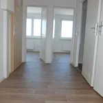 Rent 3 bedroom apartment of 57 m² in Chemnitz